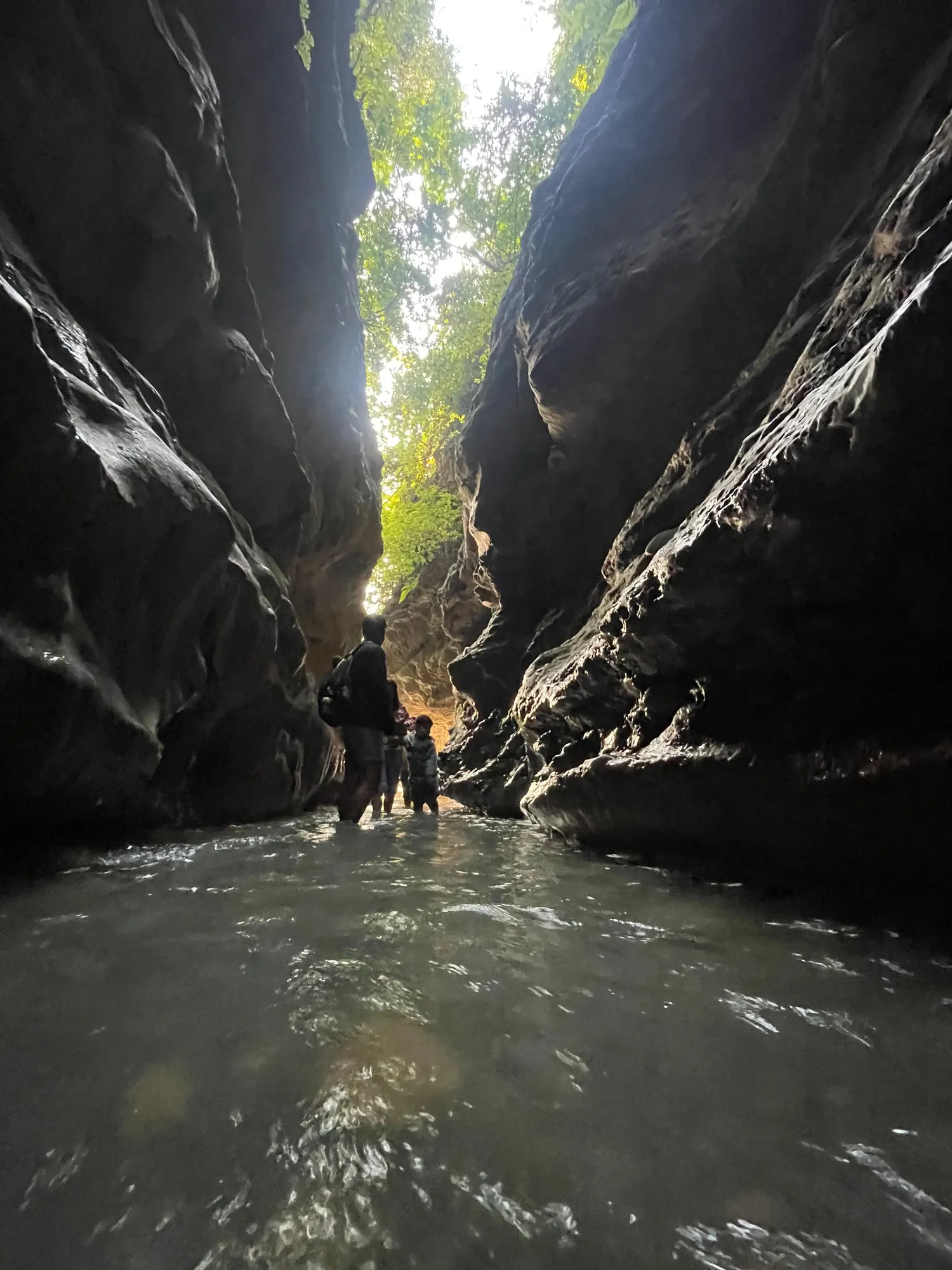 48 Hours in Dehradun: The Ultimate Weekend Escape